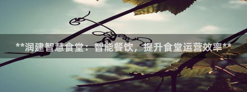 尊龙凯时人生就是博·(中国)