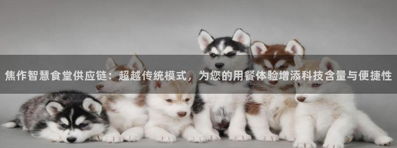 尊龙d88手机登录免费下载