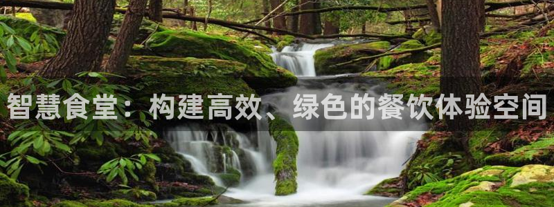 尊龙是什么软件