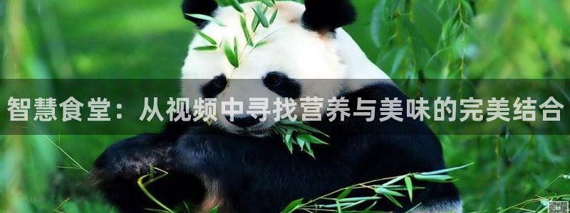 尊龙人生就是傅官网