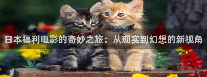 不卡神马奇奇影院：日本福利电影的奇妙之旅：从现实到幻想的新视角