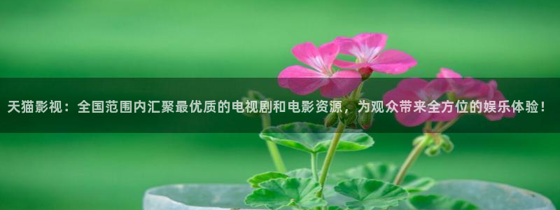 777米奇奇米在线影院：天猫影视：全国范围内汇聚最优质的电视剧和电影资源，为观众带来全方位的娱乐体验！