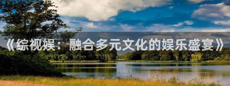 妈妈的朋友奇奇影院：《综视娱：融合多元文化的娱乐盛宴》